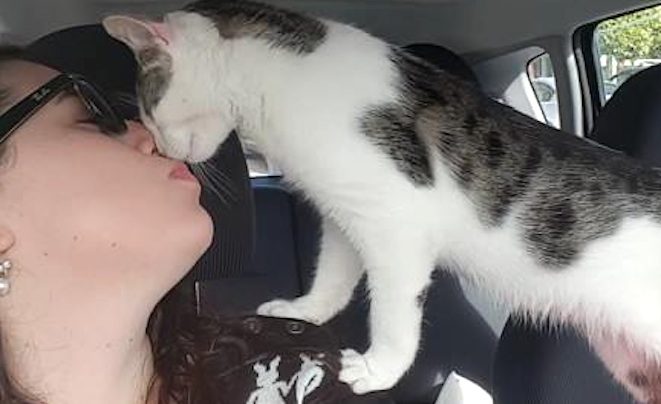 Shelter Kitten Who Had Just Hours Left To Live Says ‘Thank You’ To His Rescuer