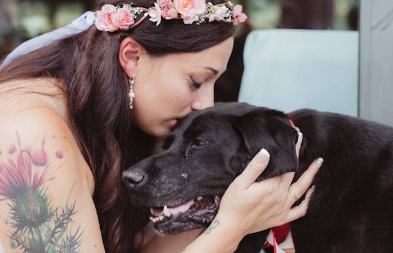 Dying Dog Carried Down The Aisle To Be By His Human’s Side At Her Wedding