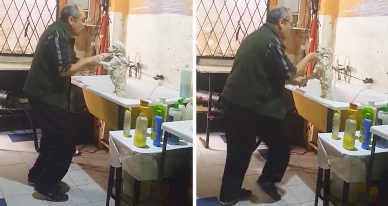 Groomer Is Caught On Camera Adorably Dancing With Customer’s Dog