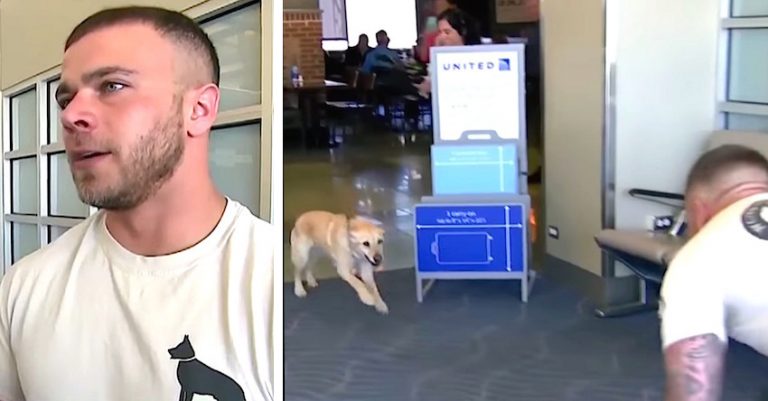 Soldier Nervously Waits For The Dog He Served With To Arrive Off The Plane
