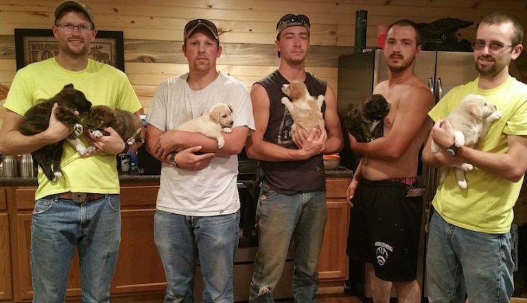 Bachelor Party Turns Into Puppy Rescue When Men Find Mama And Her Pups In The Woods