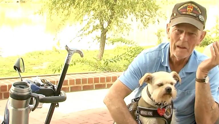 Veteran Saves A Shelter Dog’s Life And The Dog Returns The Favor