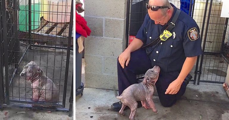 Chunkie reunites with rescuer
