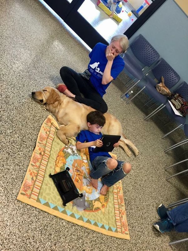 dog-autistic-boy