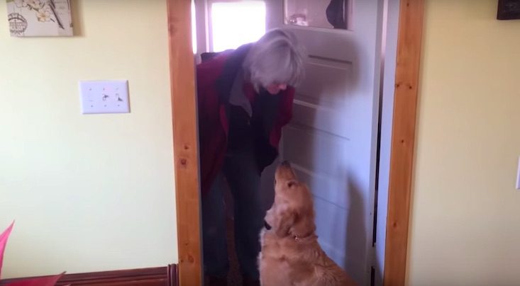 dog refuses kiss