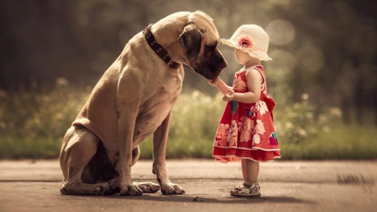 Loving Friendships Between Little Kids And Their Big Dogs Beautifully Captured In Pictures