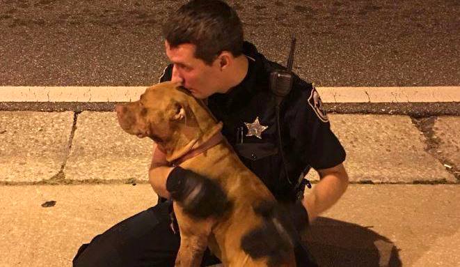 cop comforts abandoned pit bull