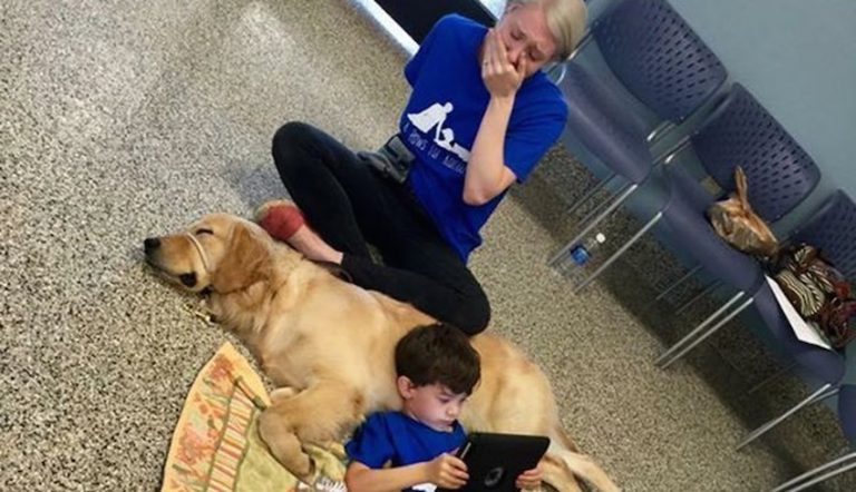 Mom Cries When She Sees Her Son With Autism Meet His Service Dog For The Very First Time