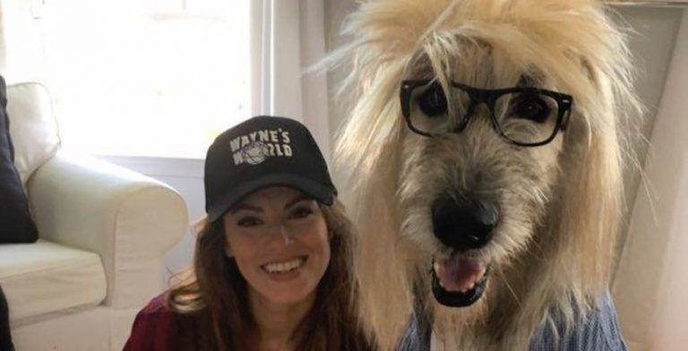 Wayne's World dog