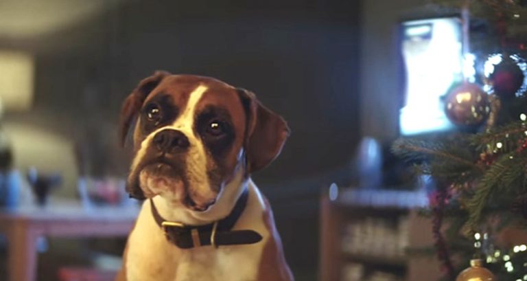 John Lewis ad