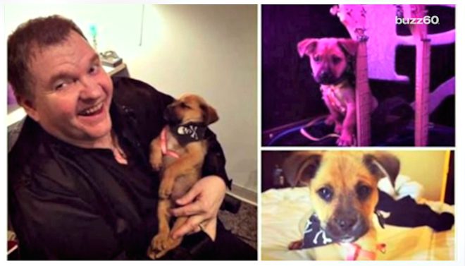 Meat Loaf Rescues Puppy From Dumpster While On Tour
