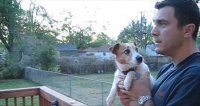 dog obsessed with squirrels
