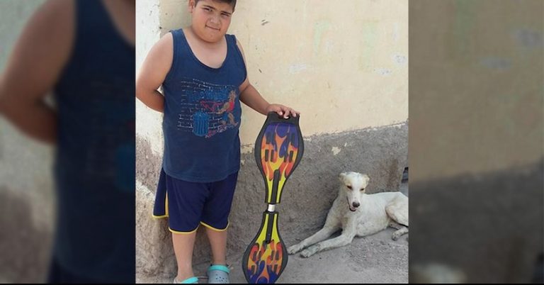 Boy Tries To Sell His Favorite Skateboard To Help The Injured Stray Dog He Found