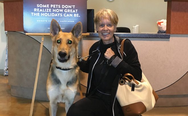 Couple Adopts The Last Dog Left At Shelter, Who Just Happens To Be A Blind German Shepherd