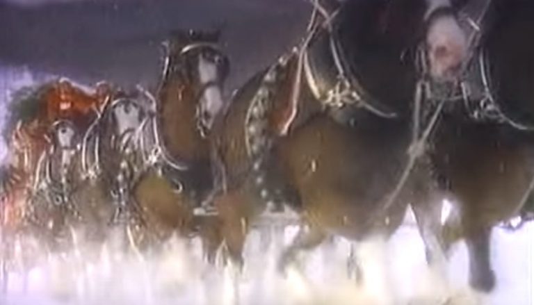 Clydesdales Deliver Christmas Tree To Town In This Classic Advert