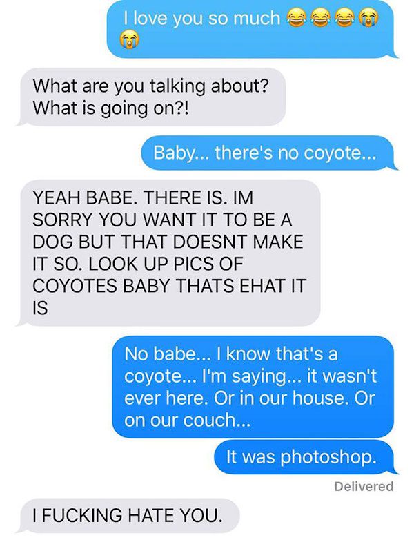 coyote-fun-12