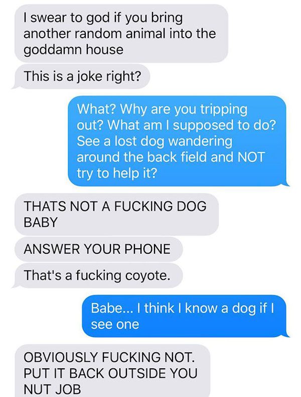 coyote-fun-2