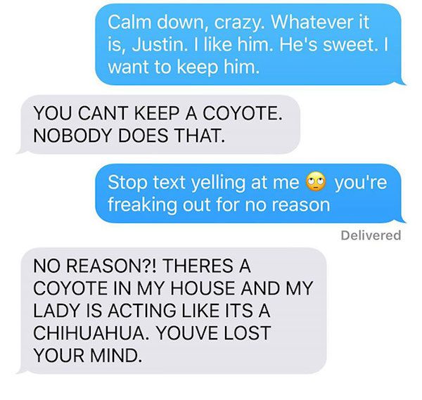 coyote-fun-4