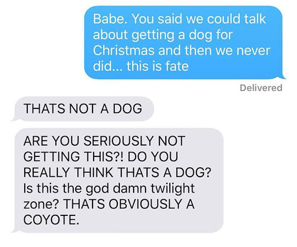 coyote-fun-5