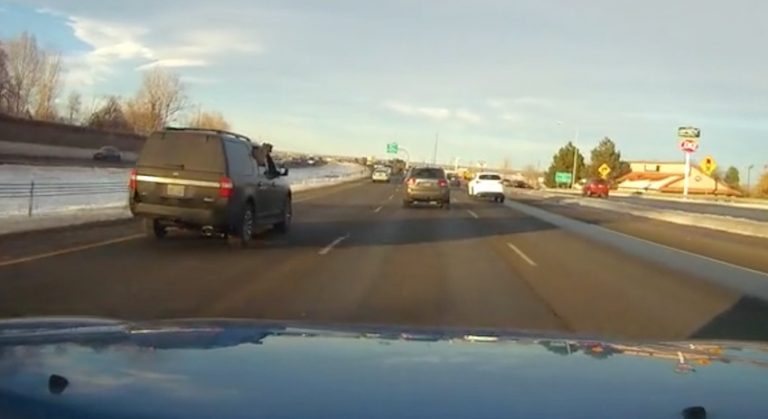 dog falls out of car
