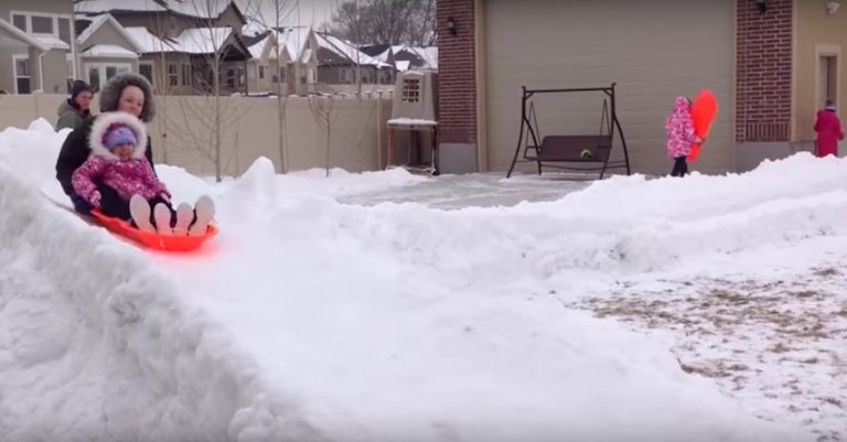 backyard luge