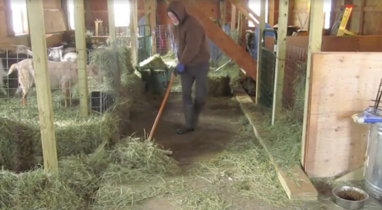 dancing farmer