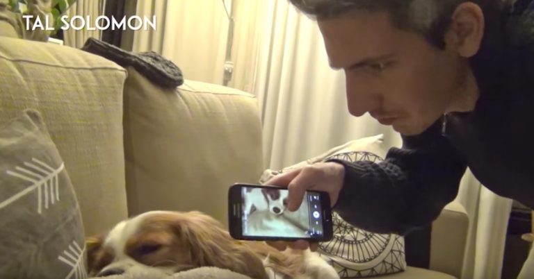 dog woken up from snoring