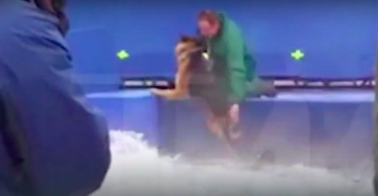 Leaked Video From ‘A Dog’s Purpose’ Set Causes Public Outcry and Calls Treatment Of Animals Into Question