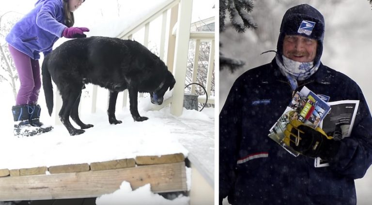 mailman builds ramp for senior dog