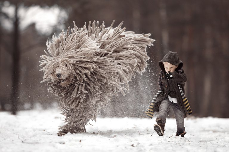 Joyful Bond Between Little Kids And Their Big Dogs Captured In Enchanting Photos