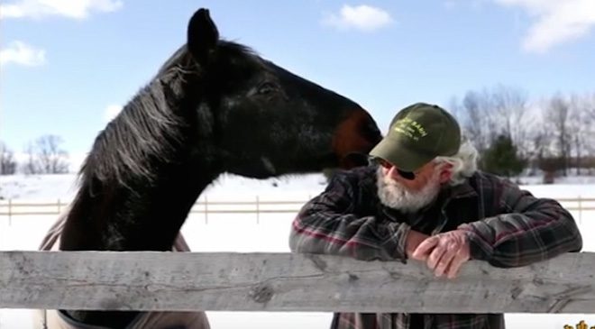 Friendship Between Man And 40-Year-Old Horse Saves Both Their Lives