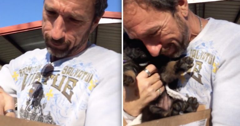 Dad Gets Emotional When His Family Surprises Him With German Shepherd Puppy