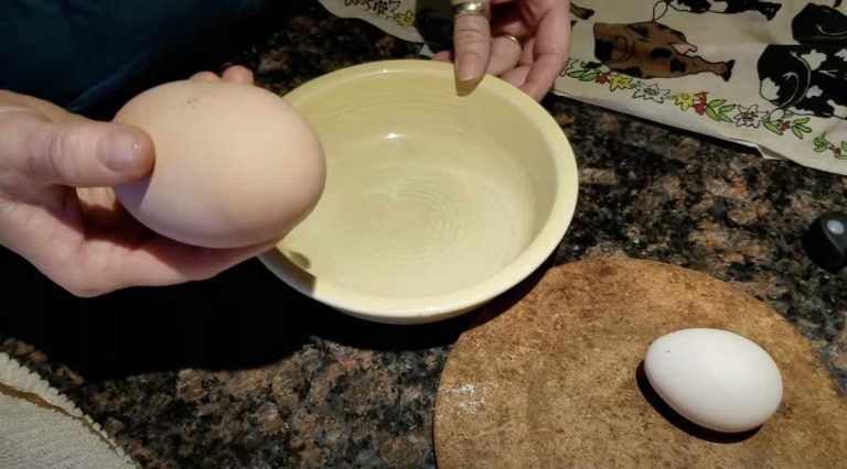 egg within egg