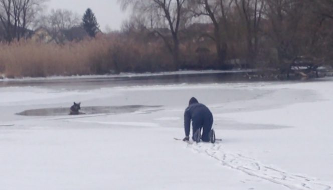 hockey stick rescue