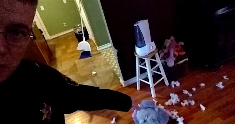 kruz the guilty dog