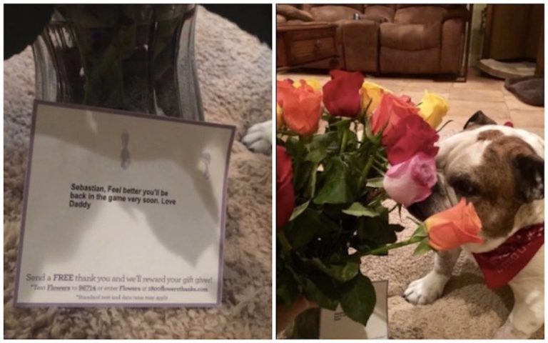 Sebastian gets flowers