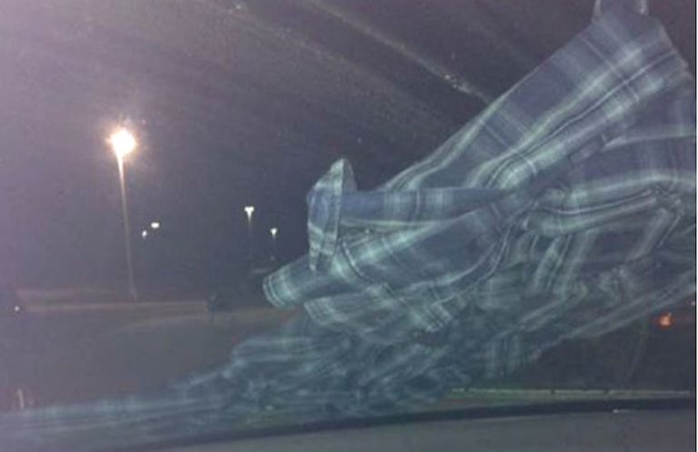 shirt on windshield