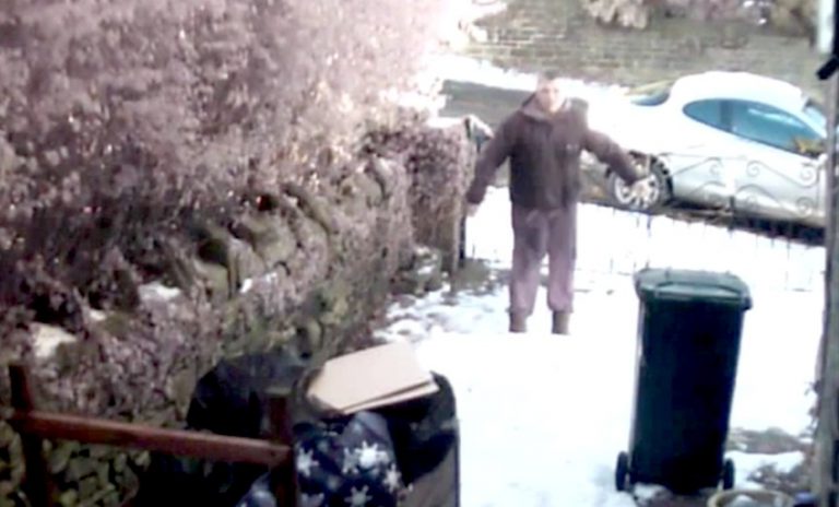 Thief Stealing From Yard Greeted By Bull Mastiff And His Buddy