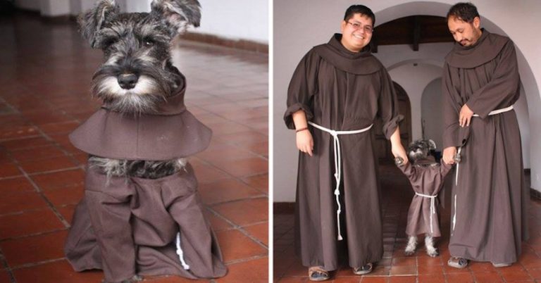 Adopted Stray Dog Becomes The Most Adorable Friar In Monastery