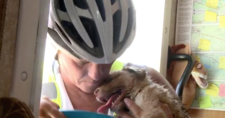 cyclist finds puppy in desert