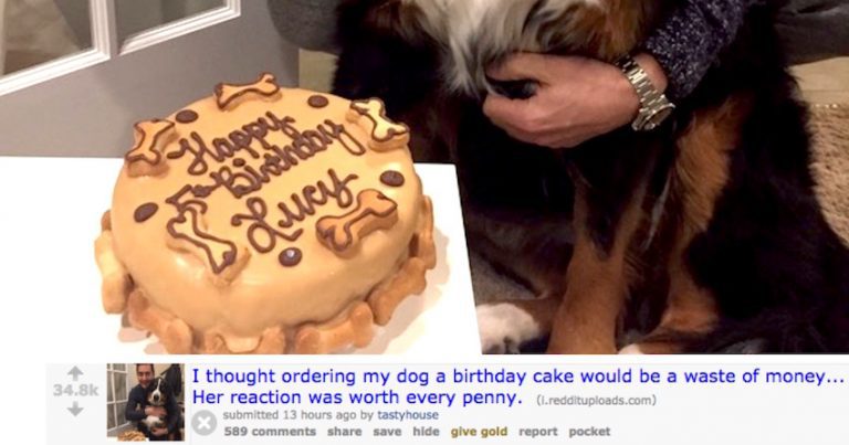 dog birthday cake reaction
