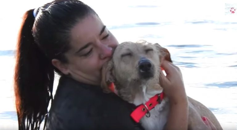 Joy rescued Orphan Pet