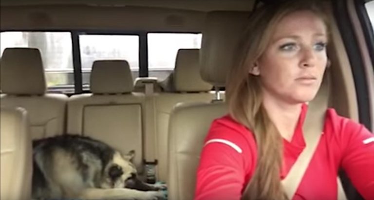 Shiloh Shepherd Adorably Sings ‘We Are The Champions’ With Her Mom On Road Trip