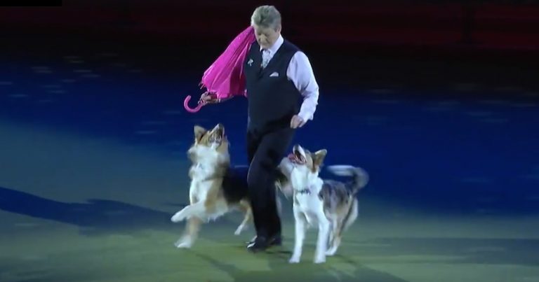 Mary Ray at Crufts