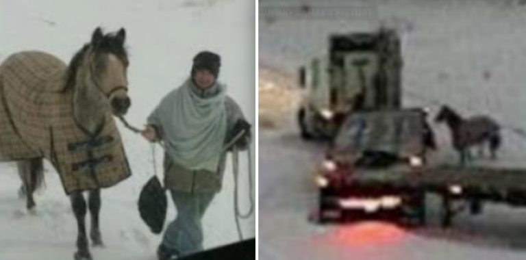 Teen Rides Horse Through Snowstorm To Help Stranded Truck Driver