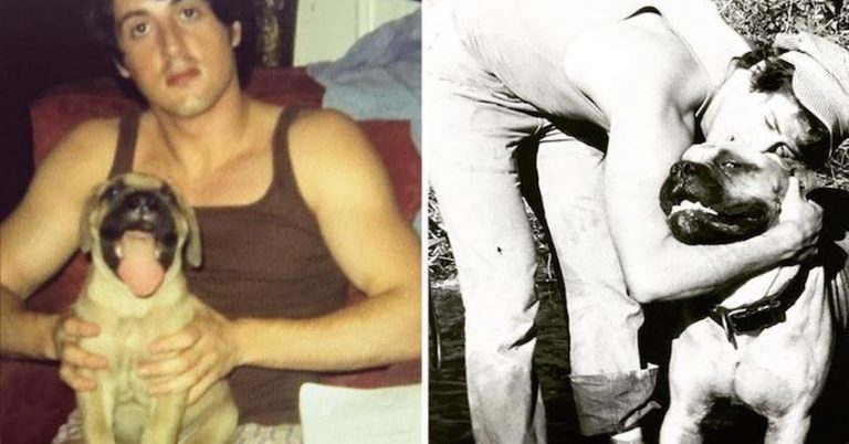 Sylvester Stallone Shares Heartwarming Tribute To His ‘Rocky’ Dog