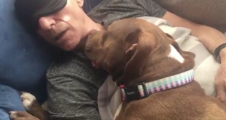 The Love Story Continues Between Patrick Stewart And His Foster Dog