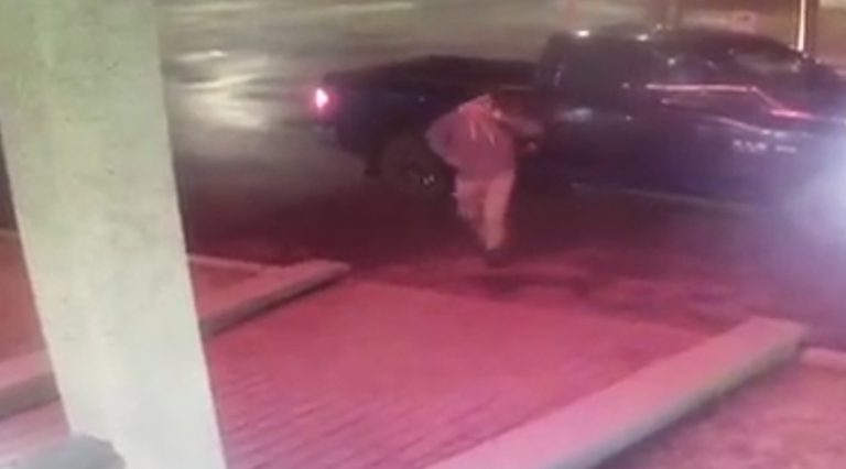 deer tackles man
