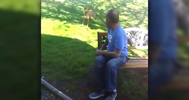 Dog Doesn’t Recognize His Dad At First After He Loses Weight At Hospital