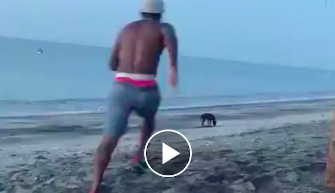 Young Man Attempts To Kick Stray Dog At Beach And Gets Dose Of Instant Karma